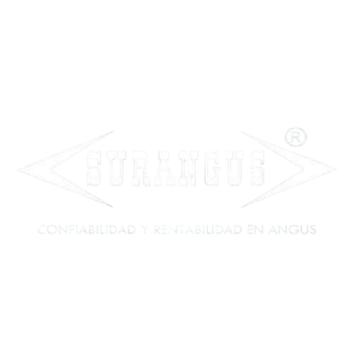 60-removebg-preview